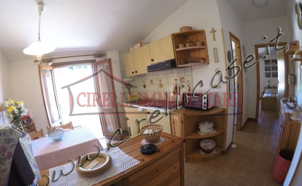 one bed apartment in the centre of the city 
