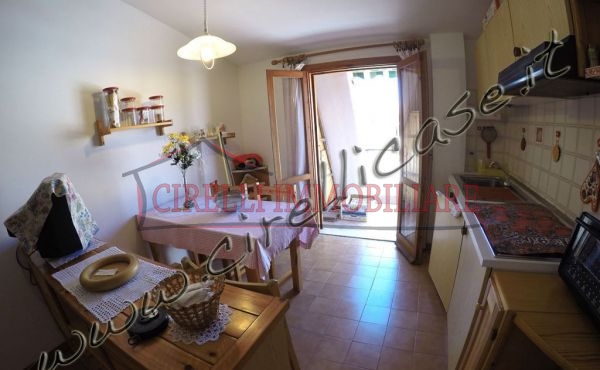 one bed apartment in the centre of the city 