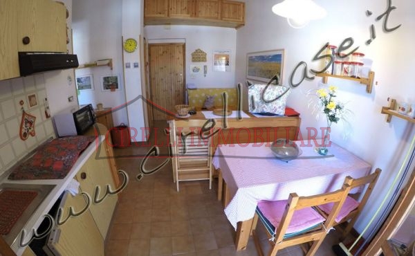 one bed apartment in the centre of the city 