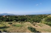Casa indipendente a Santa Domenica Talao